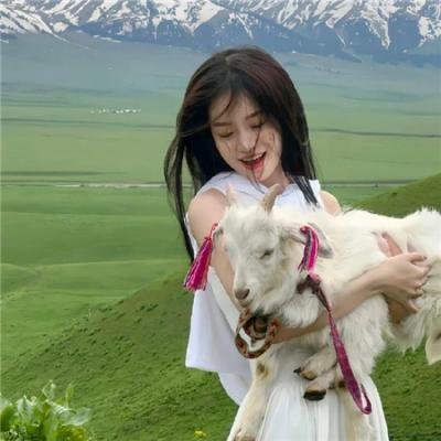 怒火龙蛇